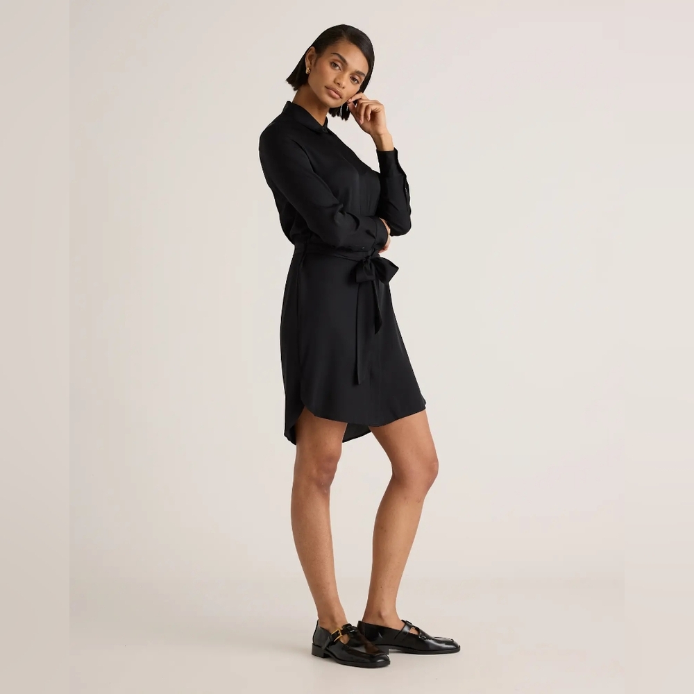 Quince Shirt Dress Black Washable Silk Long Sleeve Button Up Mini Size L NEW